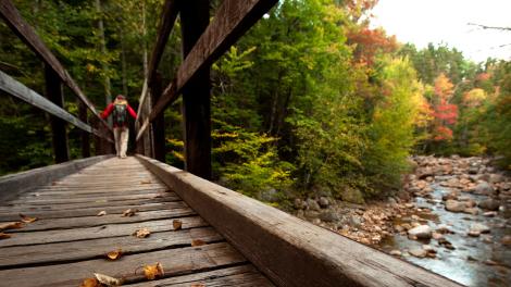 白山山脉落叶中的廊桥