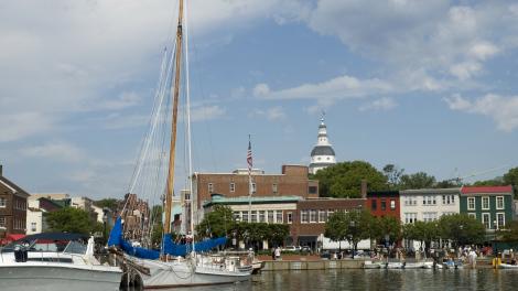 在市区海港，将美景尽收眼底