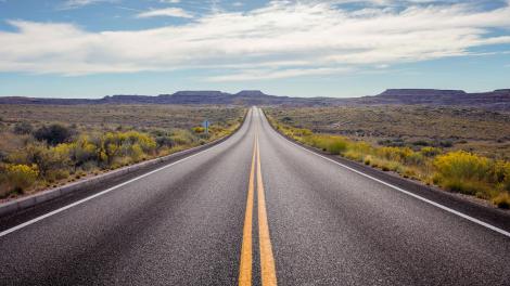 沿着 66 号公路穿越亚利桑那州东北部的石化林国家公园