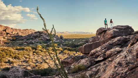 在威克水槽州立公园和历史遗址攀登巨石