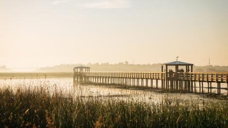 在德克萨斯州博蒙特的 Cattail Marsh Scenic Wetlands & Boardwalk 上观鸟