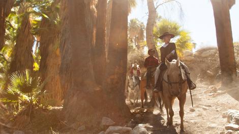 骑上马背穿越风景秀丽的印度峡谷,沿途欣赏淙淙溪流和原生棕榈树林 骑上马背穿越风景秀丽的印度峡谷,沿途欣赏淙淙溪流和原生棕榈树林