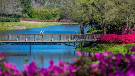 位于阿拉巴马州莫比尔的贝林格拉思庄园