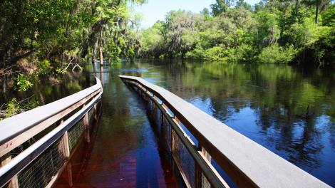 Ichetucknee River in Suwannee River Valley, Florida