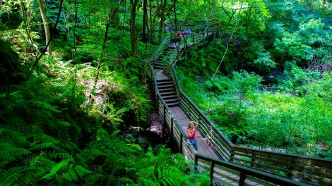 Stairs to Devil's Millhopper Geological State Park in Gainesville, Florida