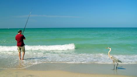 在佛罗里达州夏洛特县海钓，旁边还有一只大蓝鹭
