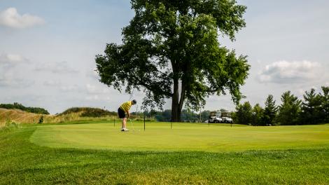Michigan Golf at Eagle Eye and Hawk Hollow Championship Golf Courses.