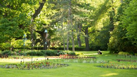 Fish sculptures at Dow Gardens in Midland, Michigan