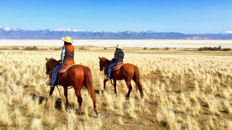 Horseback riding on Antelope Island, Utah