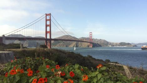 An Insider’s Guide to Silicon Valley: Channel Your Inner Geek