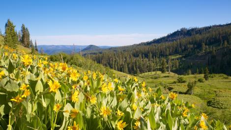 Stunning views in Whiskeytown National Recreation Area, California