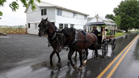 Amish buggy ride in Lancaster, Pennsylvania Amish buggy ride in Lancaster, Pennsylvania