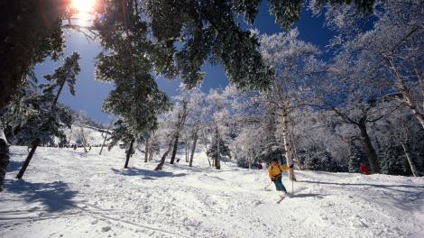 在佛蒙特州斯托滑雪 在佛蒙特州斯托滑雪