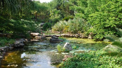 Isamu Taniguchi Japanese Garden in the Zilker Botanical Garden