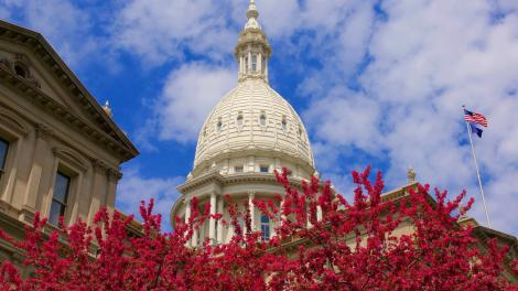 Flowers framing a view of the Michigan State Capitol building in Lansing