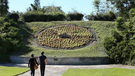一对情侣在佛罗里达州奥兰多的哈利花园内欣赏活花钟