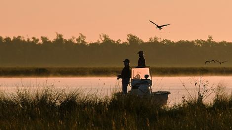 伴随着缓缓升起的太阳,在路易斯安那州的拉孔布 Big Branch Marsh National Wildlife Refuge 国家野生动物保护区钓鱼 伴随着缓缓升起的太阳,在路易斯安那州的拉孔布 Big Branch Marsh National Wildlife Refuge 国家野生动物保护区钓鱼