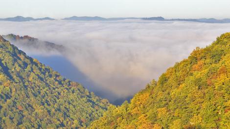 西弗吉尼亚州巴布科克州立公园内的清晨日出