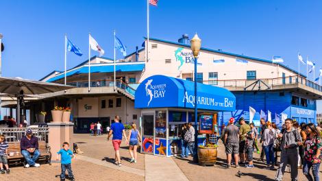 著名景点,在39号码头的旧金山海湾水族馆 著名景点,在39号码头的旧金山海湾水族馆
