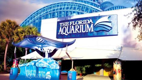 阳光下的佛罗里达水族馆