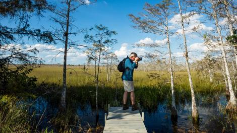 站在佛罗里达州大柏树国家保护区的木板路上拍照
