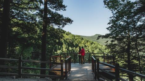 海恩斯瀑布地区的卡特斯齐尔瀑布观景台