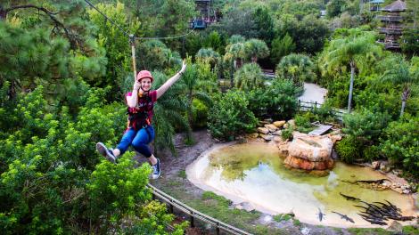 佛罗里达州奥兰多鳄鱼乐园野生动物展示区上空的高空飞索