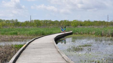 探索位于路易斯安那州贝尔市卡梅隆牧场国家野生动物保护区 (Cameron Prairie National Wildlife Refuge) 内的木板路 探索位于路易斯安那州贝尔市卡梅隆牧场国家野生动物保护区 (Cameron Prairie National Wildlife Refuge) 内的木板路
