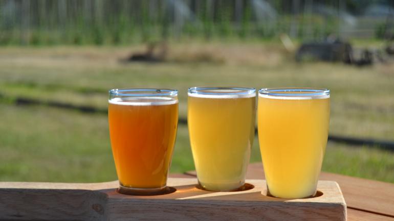 走进 Agrarian Ales 酿酒厂有着百年历史的挤奶厂,去品尝精酿啤酒,欣赏啤酒花农场的丰收景象。 走进 Agrarian Ales 酿酒厂有着百年历史的挤奶厂,去品尝精酿啤酒,欣赏啤酒花农场的丰收景象。