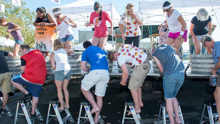 准备好在世界踩葡萄锦标赛上观看参赛者们踩踏葡萄时狼狈的模样。