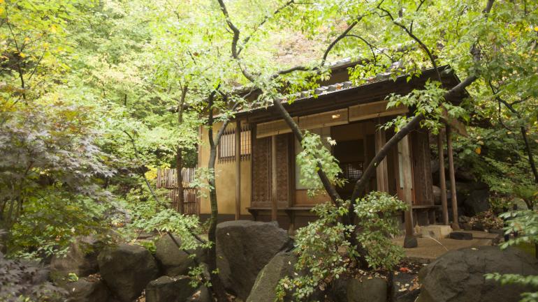 罗克福德安德森日本花园的茶屋 罗克福德安德森日本花园的茶屋