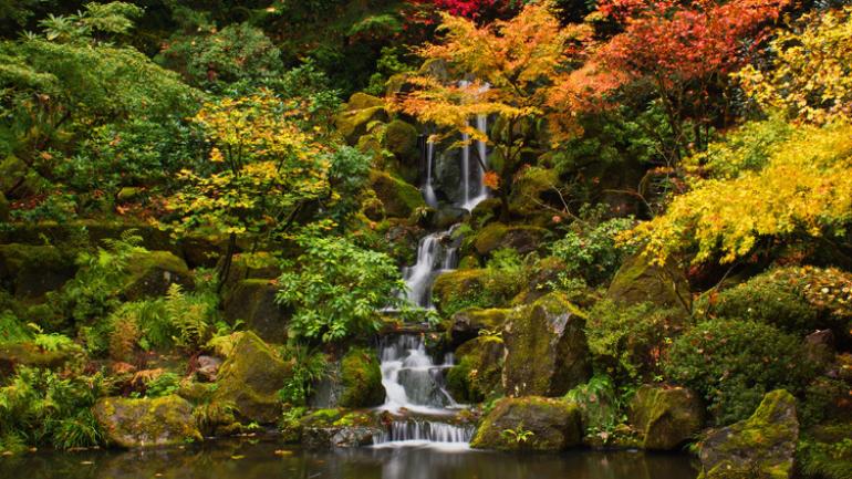 波特兰日本花园内的瀑布 波特兰日本花园内的瀑布