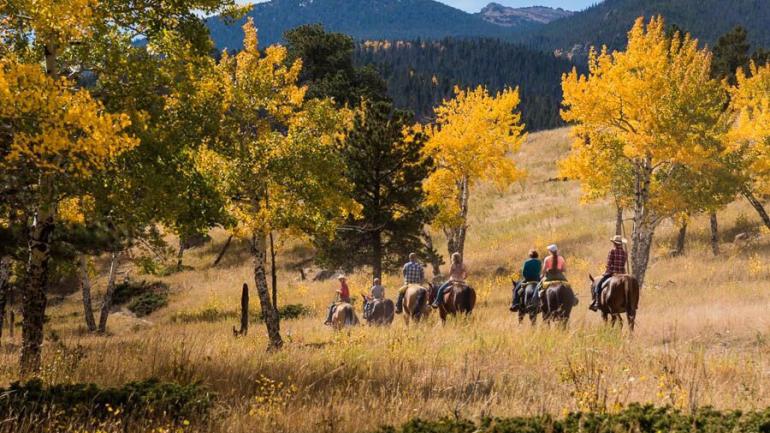 在落基山脉国家公园内骑马驰骋