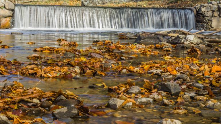 岩溪公园 Pierce Mill 瀑布秋叶尽染
