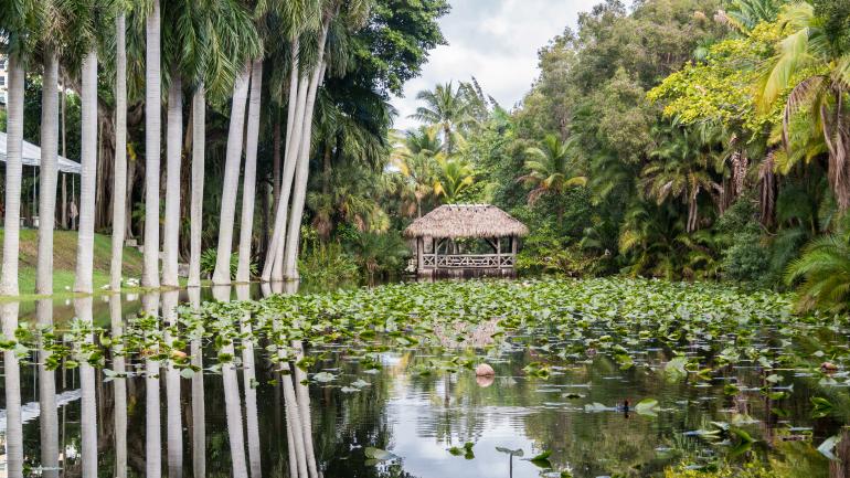 The Chickee 桥和邦尼特湖