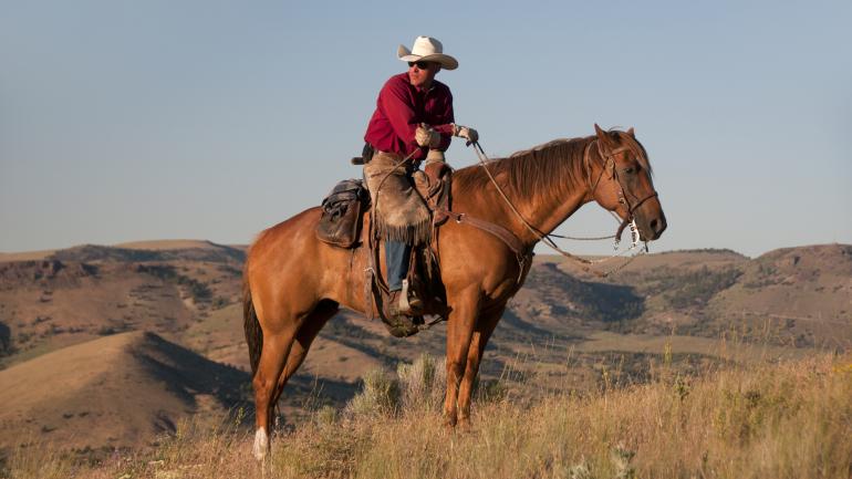 一名在放牧牛群后小憩的俄勒冈牛仔