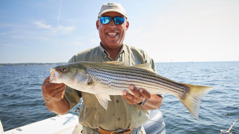 Mike Glover 船长抓着从默里湖捕捞上来的条纹鲈