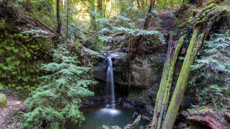 大盆地红木州立公园内的 Sempervirens Falls 瀑布