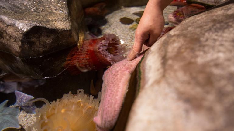 水族馆2 水族馆2