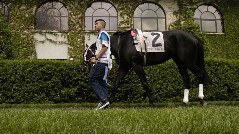 在基恩兰德和肯塔基州的其他地方观赏神奇的纯种马