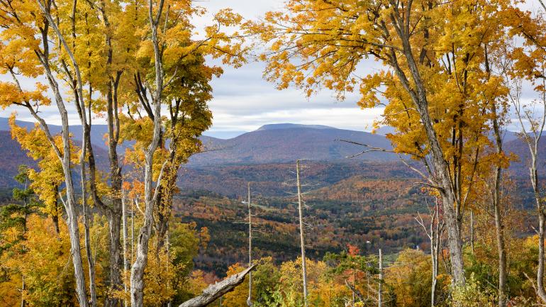 卡茨基尔山的秋季层林尽染，如梦如幻