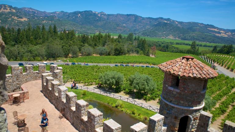 Castello Di Amorosa葡萄园美景 Castello Di Amorosa葡萄园美景
