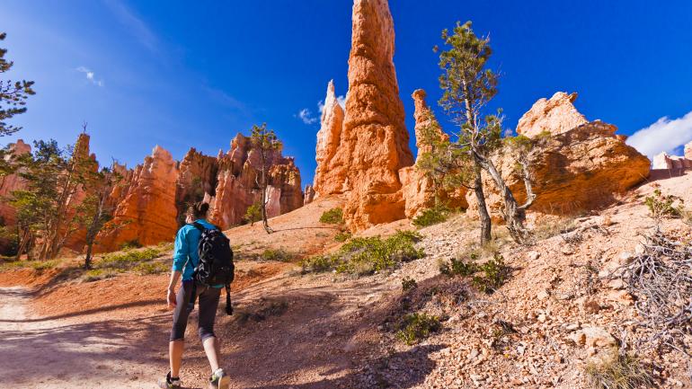 Bryce National Park Bryce National Park