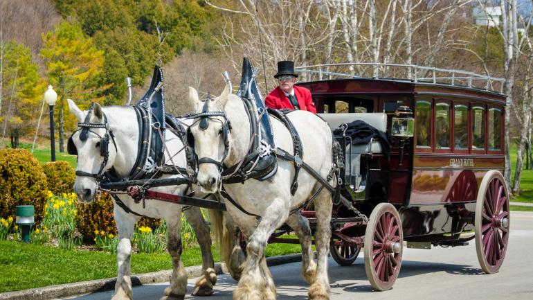 马车游览