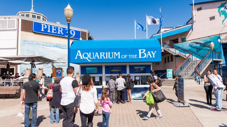 39号码头的水族馆