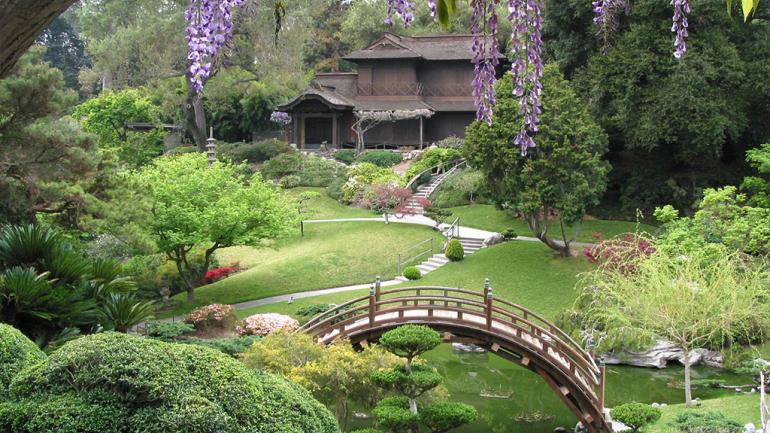 汉庭顿植物园的宁静景色 汉庭顿植物园的宁静景色