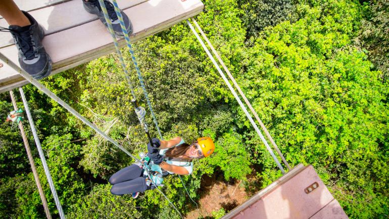 “野牛”速降，带您快速降落在树顶之中