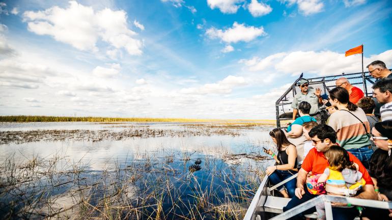 在穿越大沼泽地的汽艇上观察鳄鱼