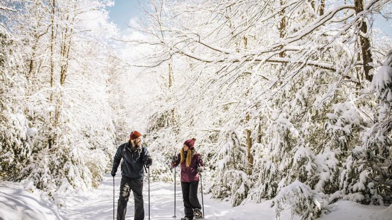 在迦南山谷体验越野滑雪