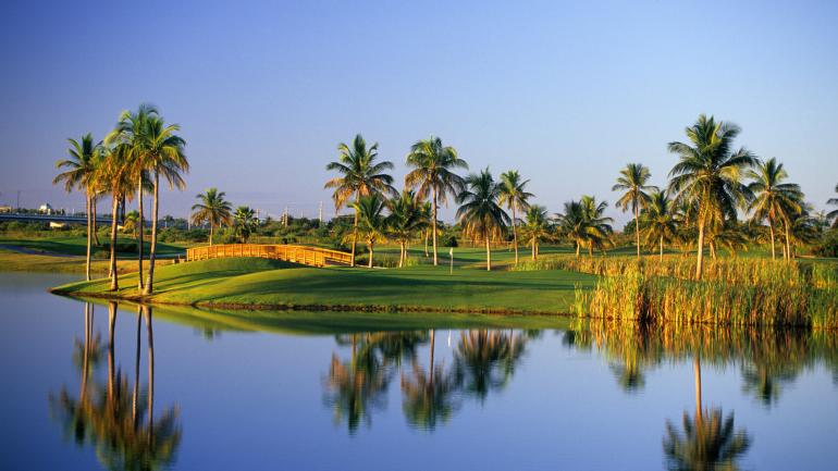 棕榈树倒影在 Costa Caribe Golf & Country Club 俱乐部球道旁的湖泊中 棕榈树倒影在 Costa Caribe Golf & Country Club 俱乐部球道旁的湖泊中